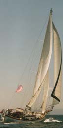 A Lord Nelson 41
