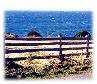 Four post cedar fence, San Juan Island, Washington.