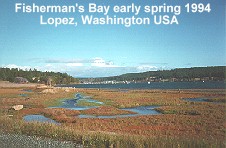 Large Image of Fisherman's Bay