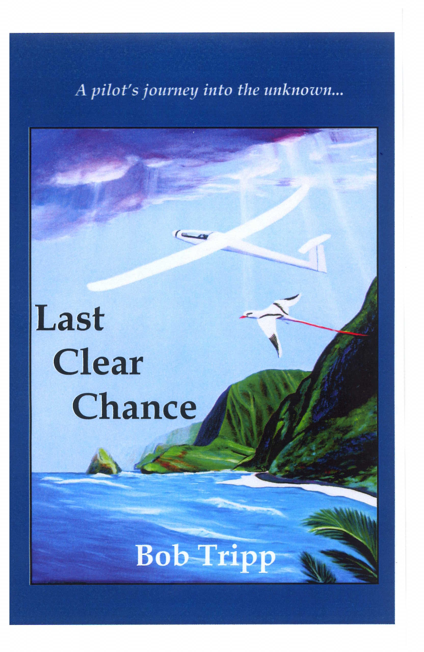 cover of Last Clear Chance