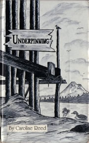 cover of Underpinning