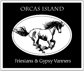 Orcas Island Friesians and Gypsy Vanners